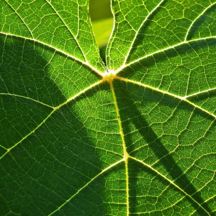 sostenibilidad ambiental medioambiente